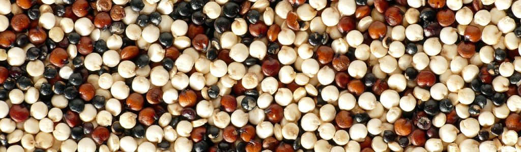 quinoa-g71d2fc2f5_1280 quinoa-g71d2fc2f5_1280